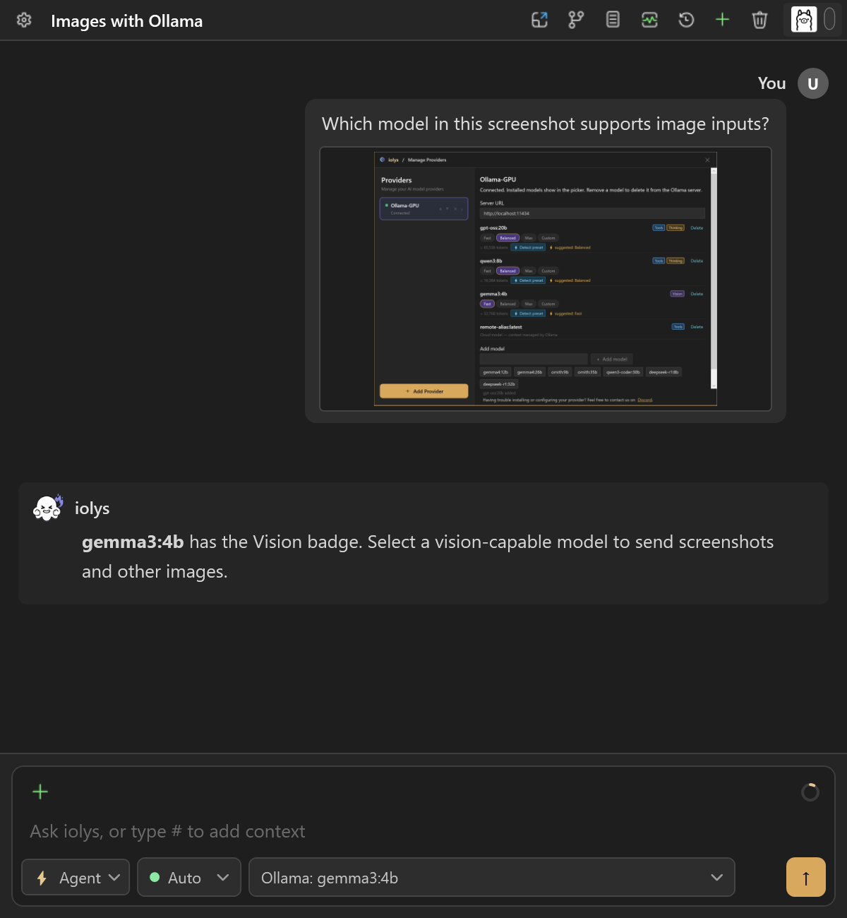 Ollama vision conversation with an attached screenshot and an example response